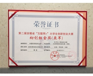 2016安徽省第二届互联网+奖状
